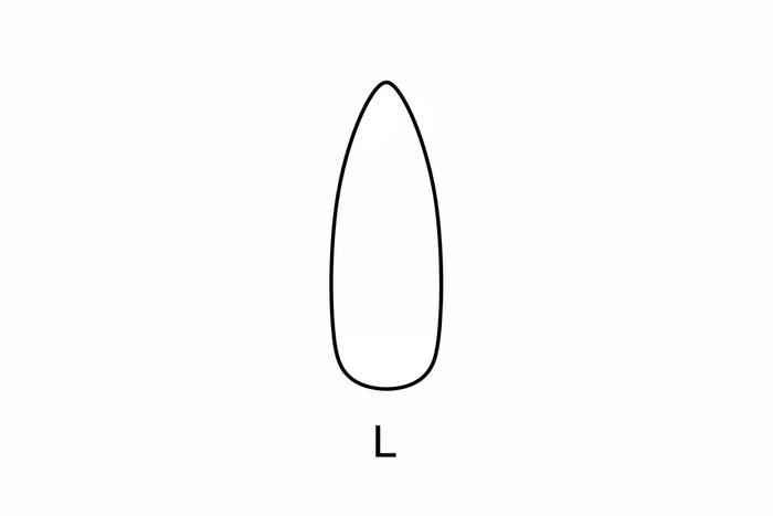 L Kollektion